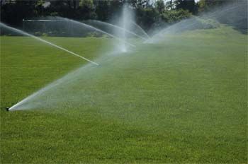 Sprinklers