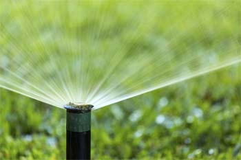 Irrigation